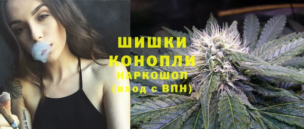 гидра Медногорск