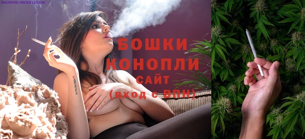 гидра Медногорск
